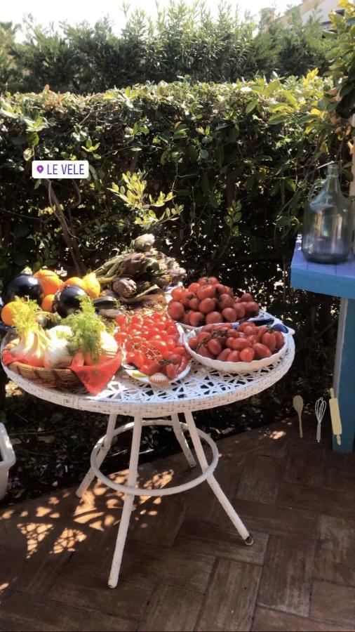 Le Vele Bed & Breakfast Campofelice Di Roccella Exterior photo